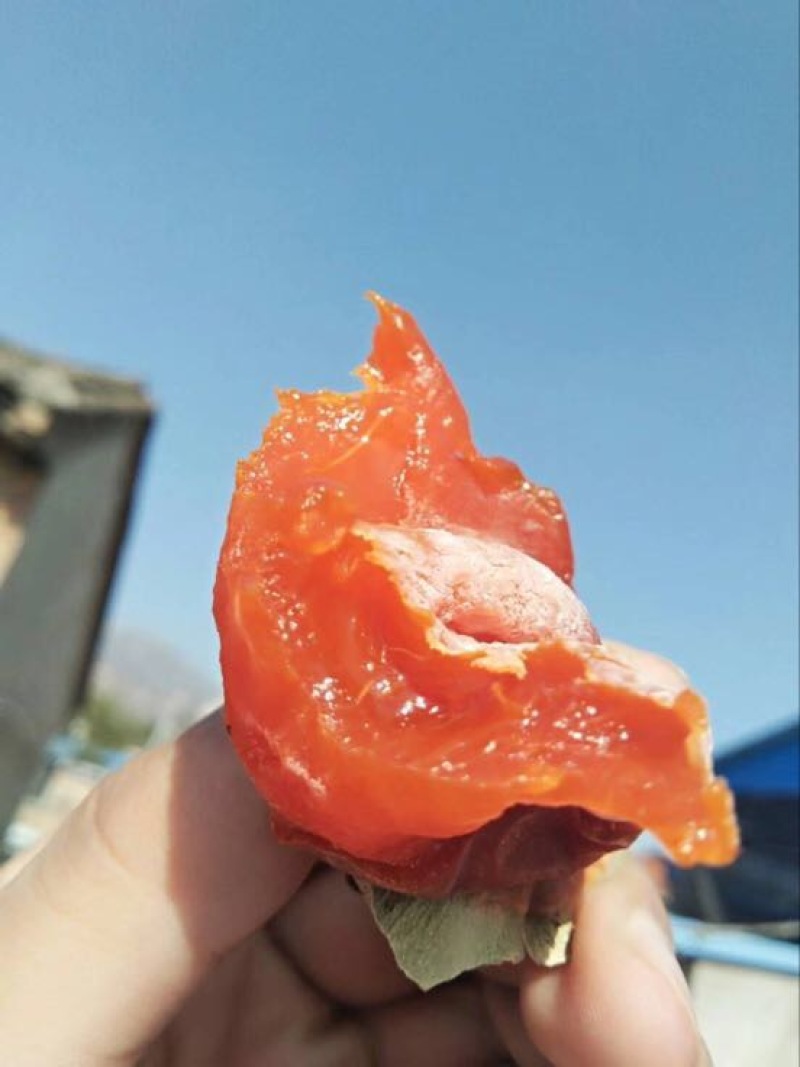 柿饼1~2两