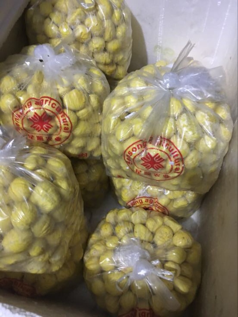 新货上市！精品油板栗肉，去壳去皮板栗仁，规格齐全厂家直发