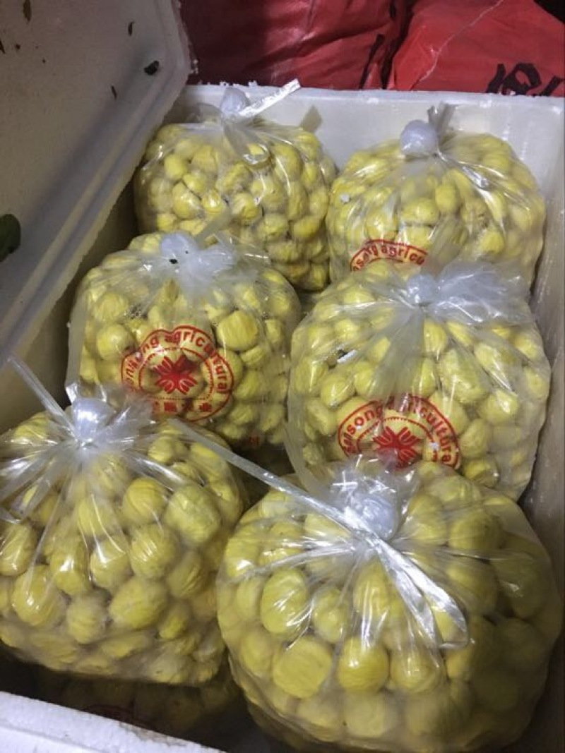 新货上市！精品油板栗肉，去壳去皮板栗仁，规格齐全厂家直发