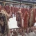 腊肉