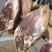 腊肉