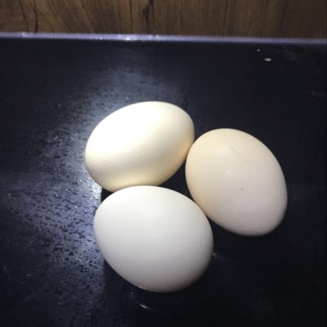 土鸡蛋食用50g以下