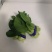 上海青小白菜20cm以上