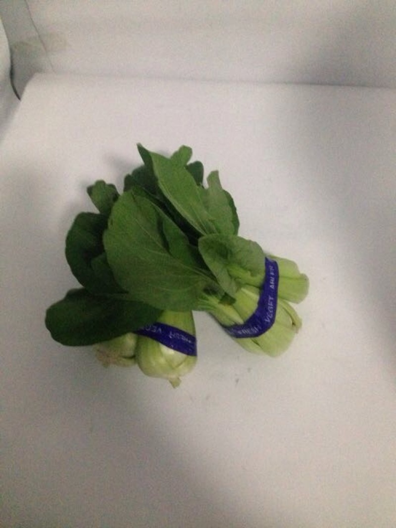 上海青小白菜20cm以上