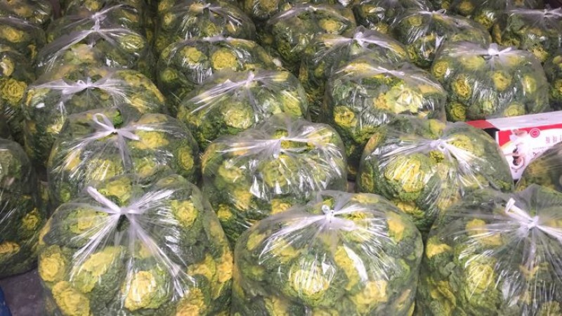 黄心菜10cm以下