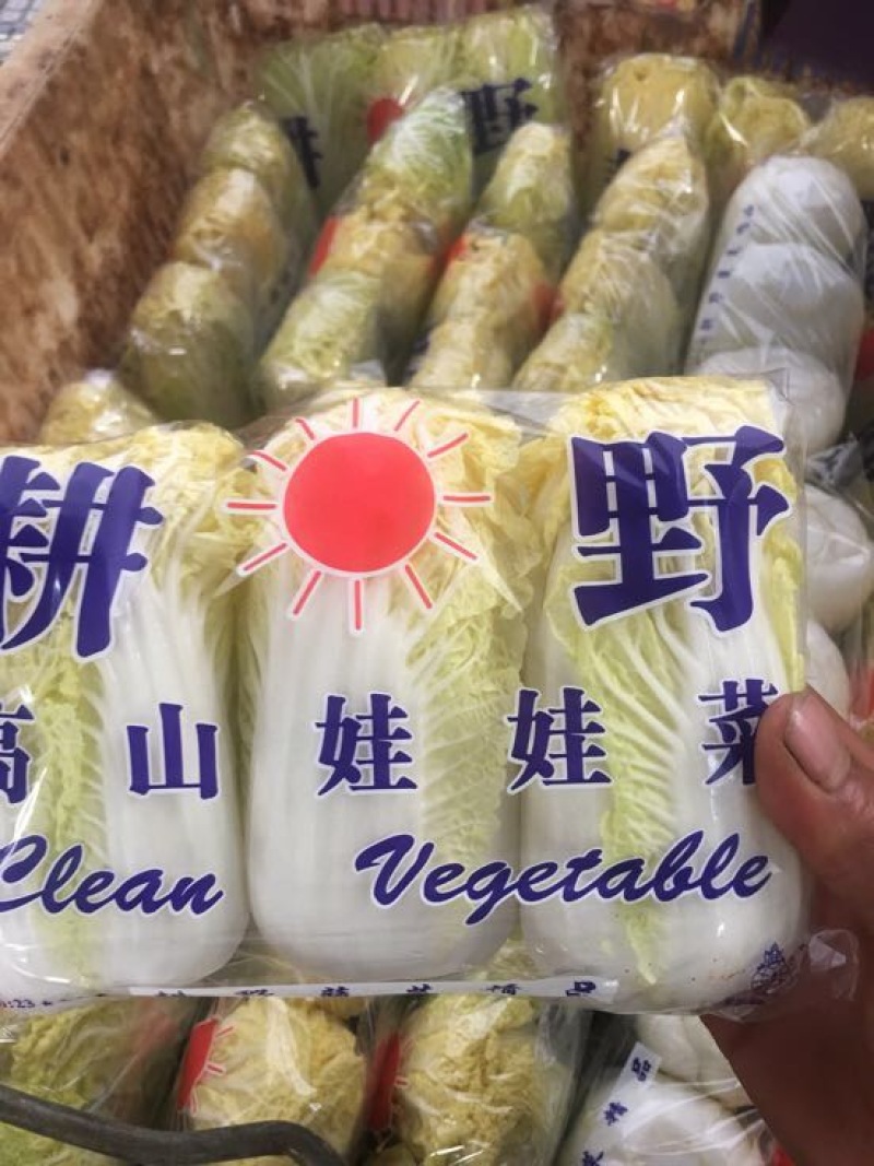 娃娃菜7~10两以上