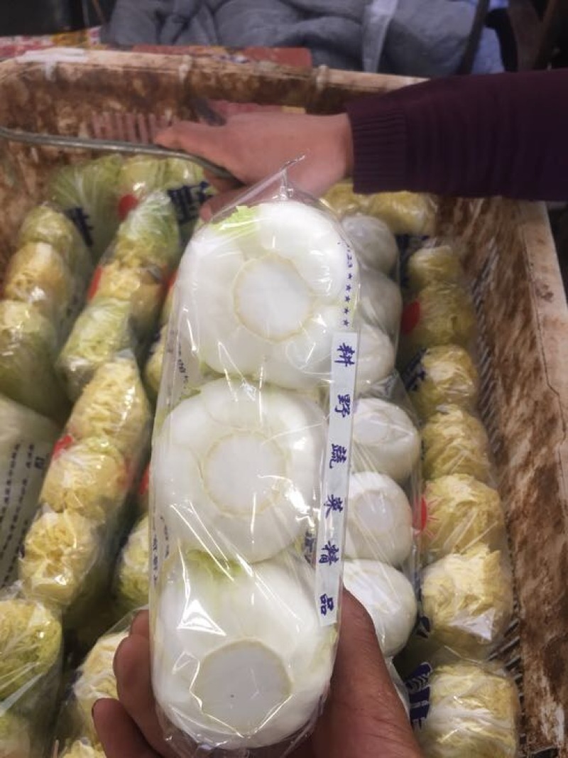 娃娃菜7~10两以上