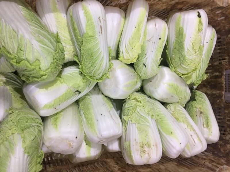 娃娃菜7~10两以上