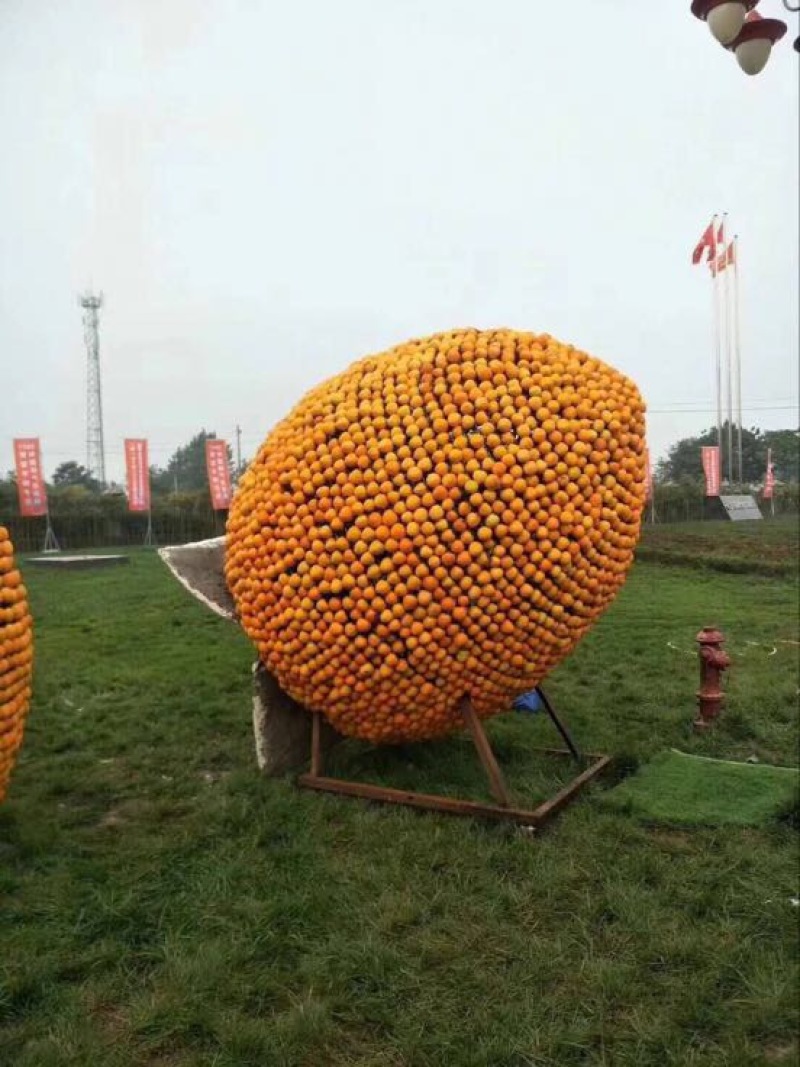 柿饼1~2两