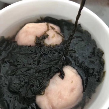 紫菜人工养殖头水