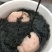 紫菜人工养殖头水