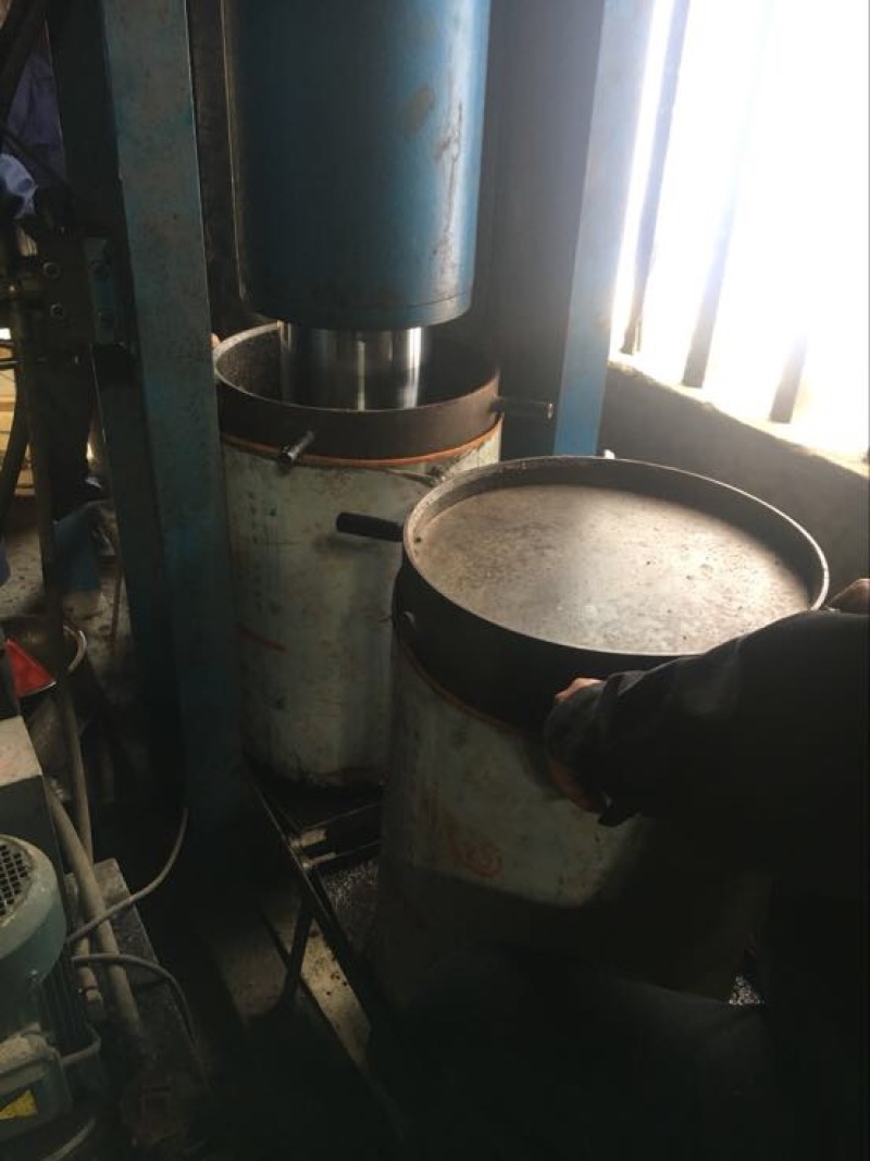 山茶油5斤