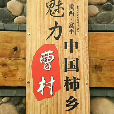 柿饼1~2两