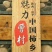 柿饼1~2两