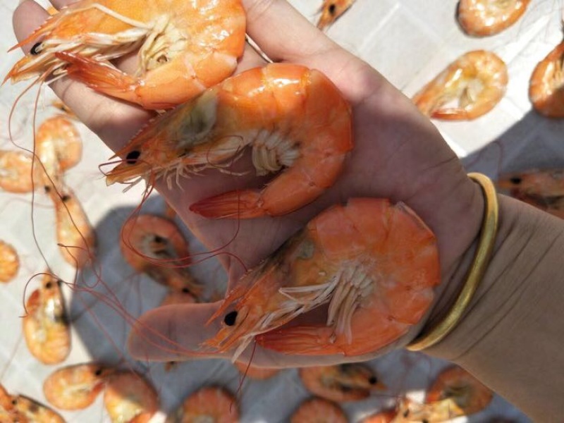 虾干海水虾