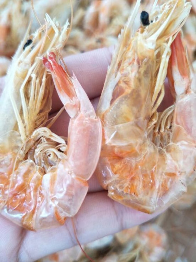 虾干海水虾