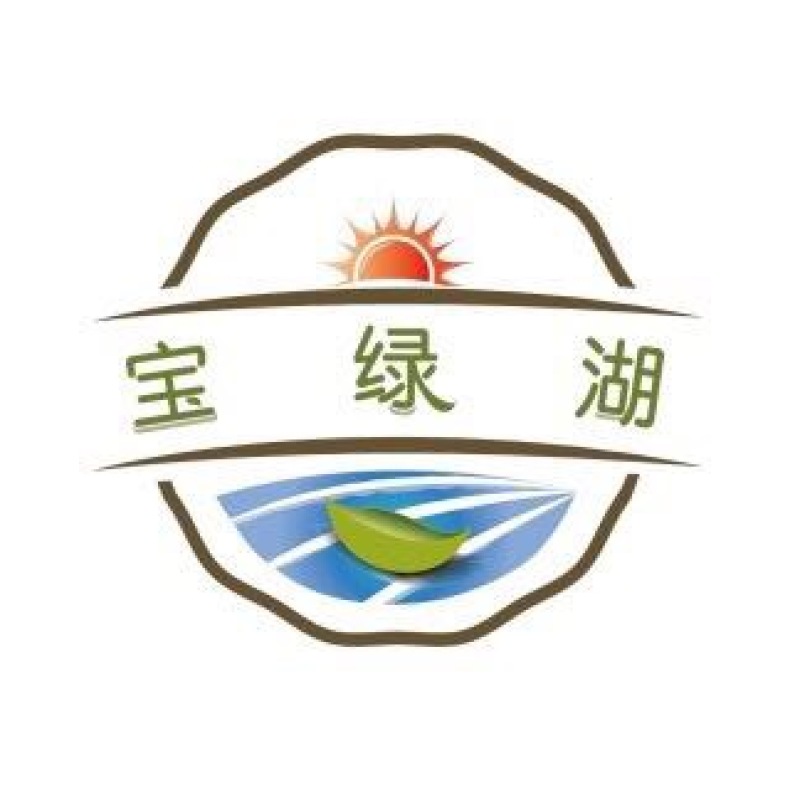 菜苔10~15厘米