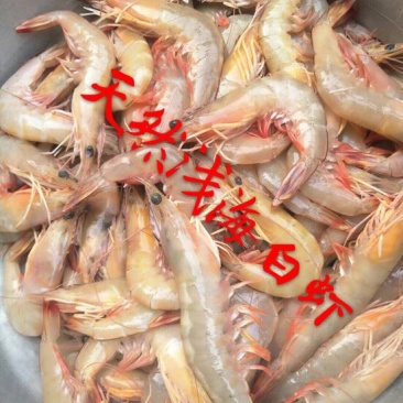 白米虾