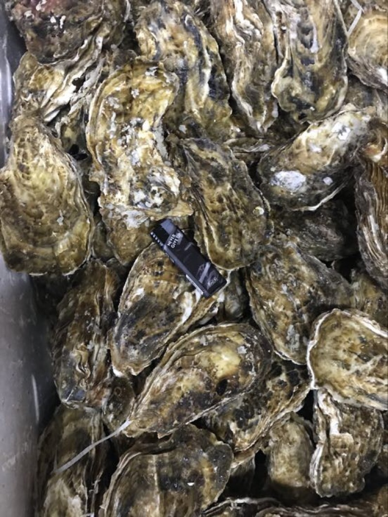 生蚝，三倍体，生蚝统货，各种齐全规格2-5