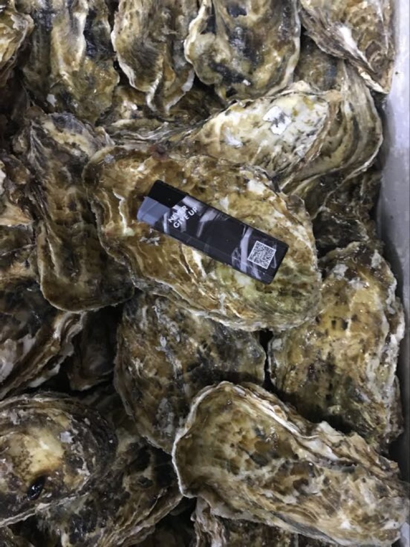 生蚝，三倍体，生蚝统货，各种齐全规格2-5