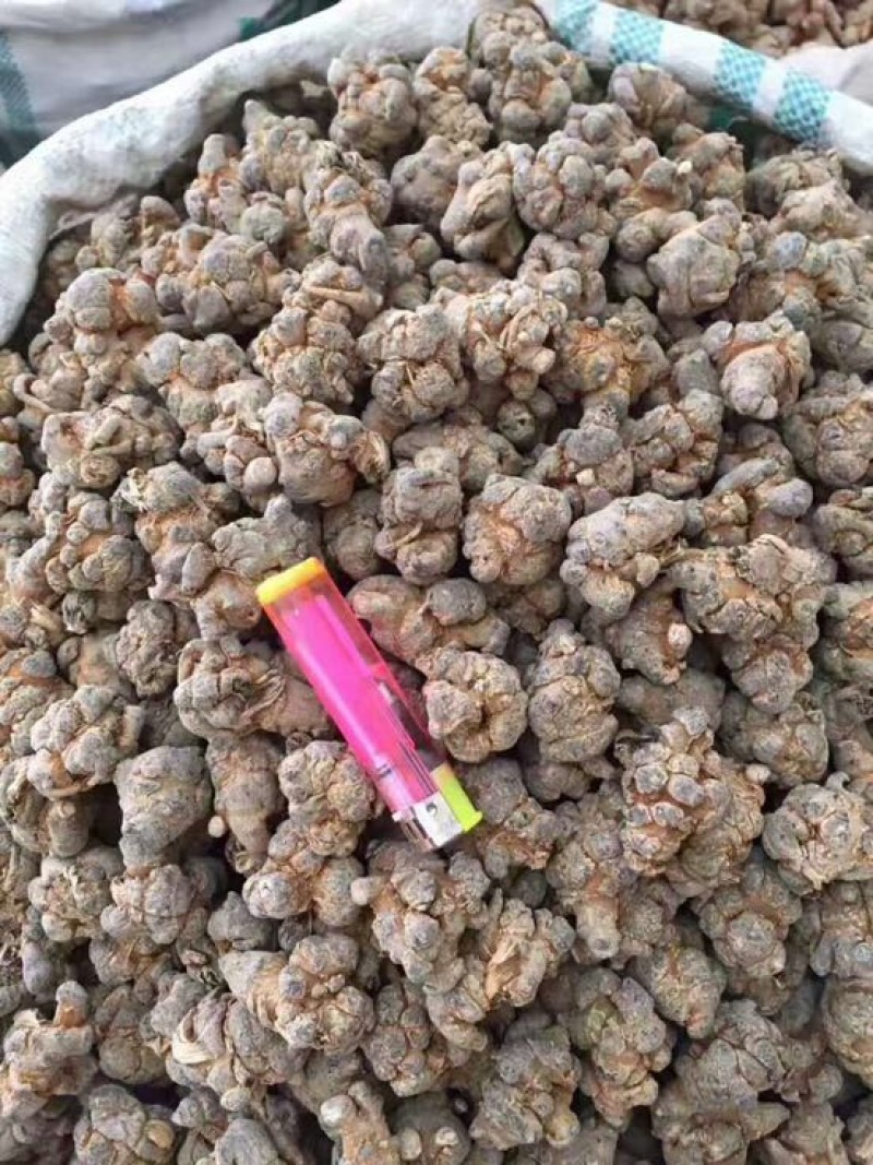 三七根茎干货选货30头