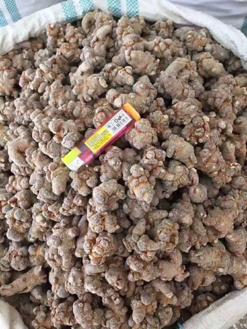 三七根茎干货选货30头
