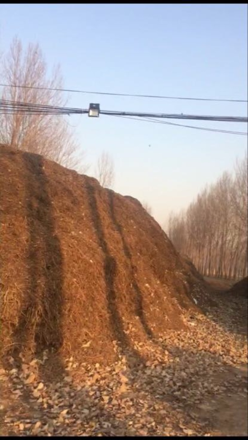 花生糠食品添加剂
