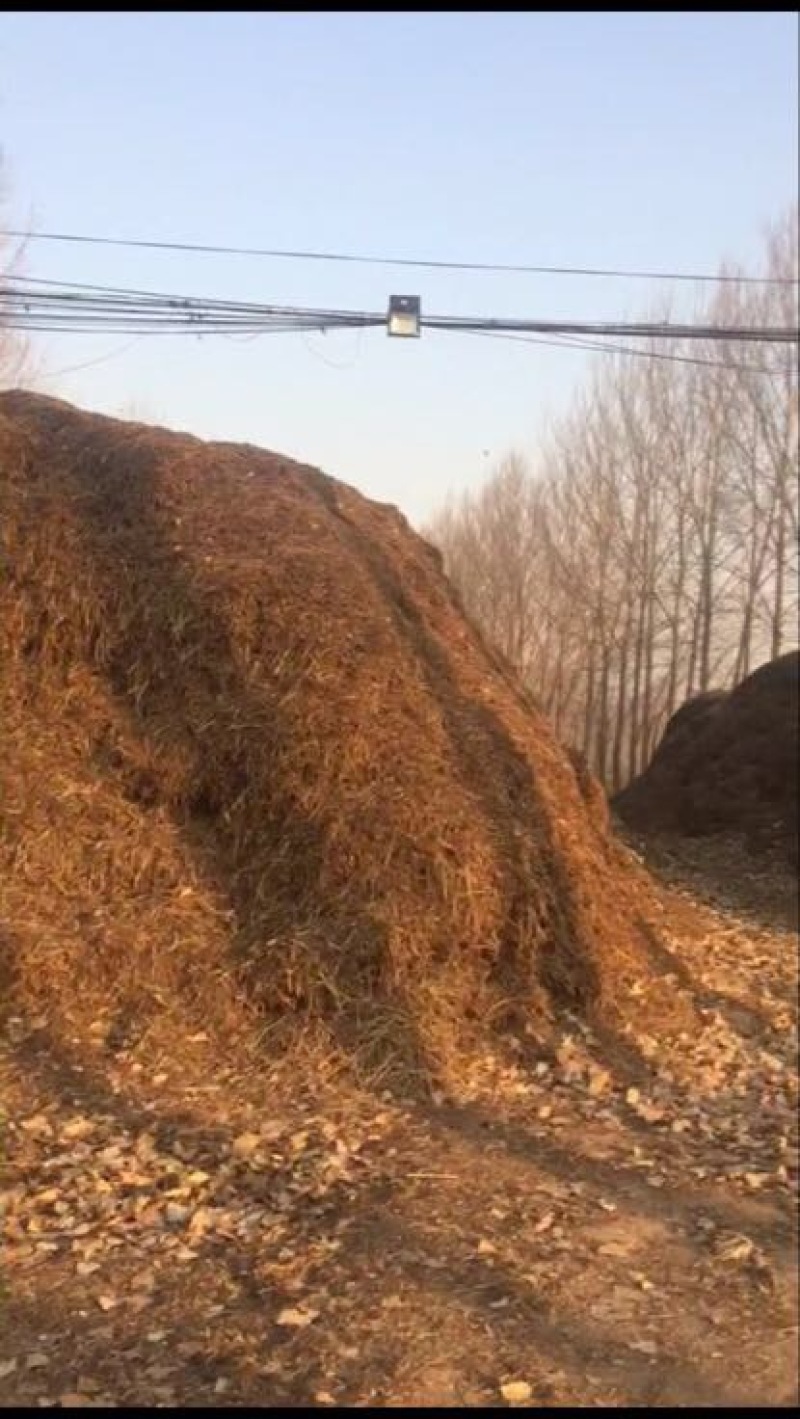 花生糠食品添加剂
