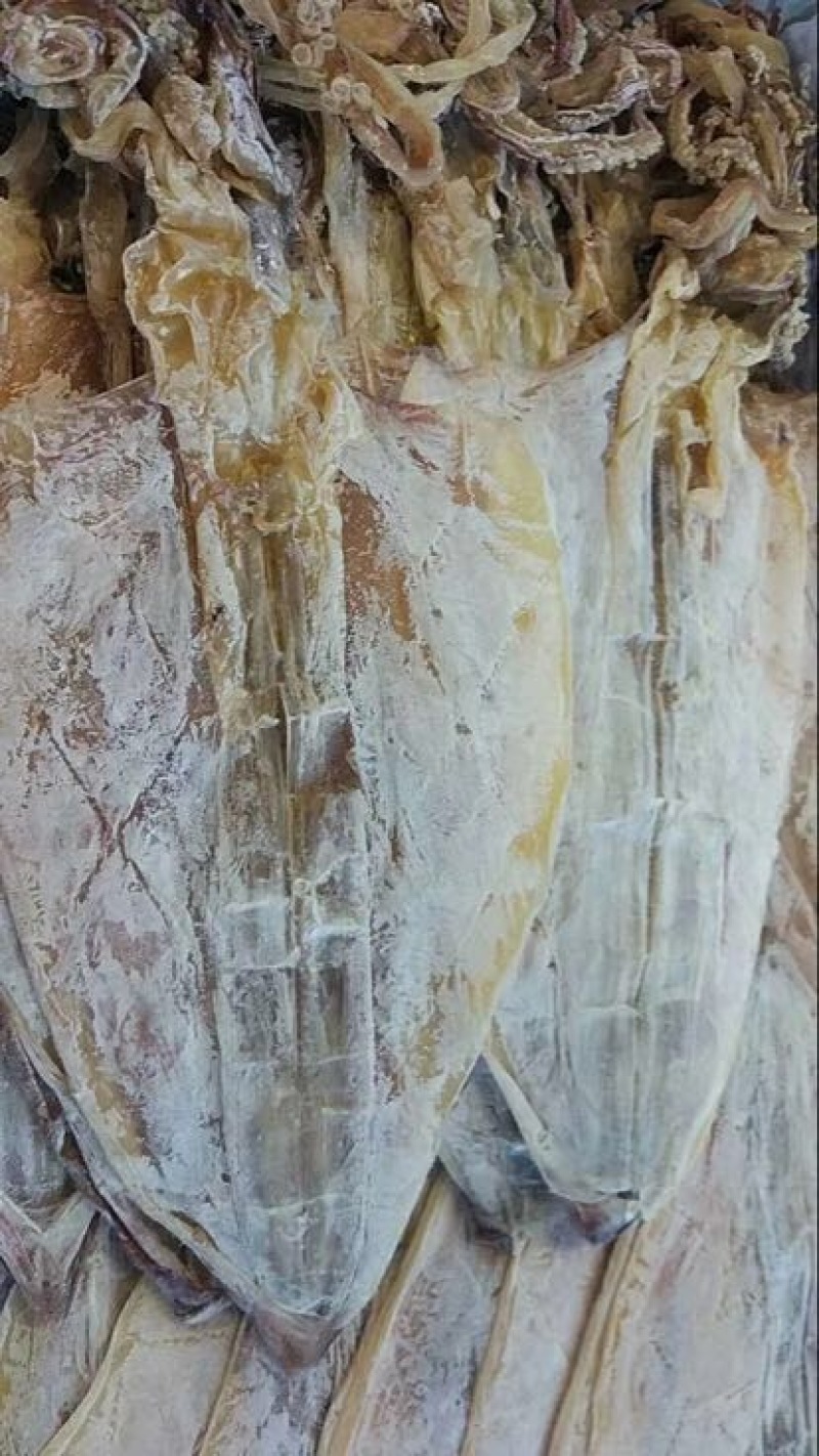 鱿鱼干鲜
