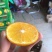 皇帝柑5.5~6cm
