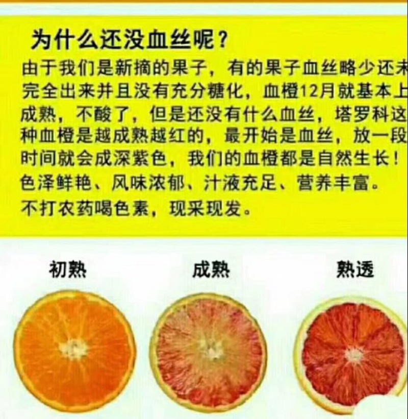 【精选】四川塔罗科血橙，细腻化渣，产地直供！量大从优