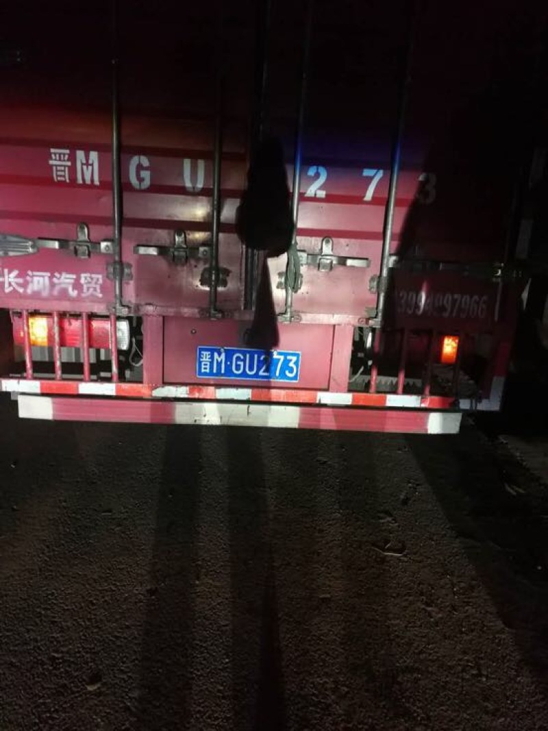 花椒苗0.5~1年苗销售，看货电话聊一聊