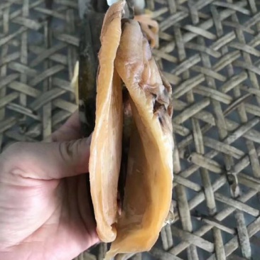 墨鱼干日晒鱼干
