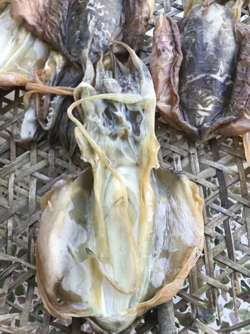 墨鱼干日晒鱼干