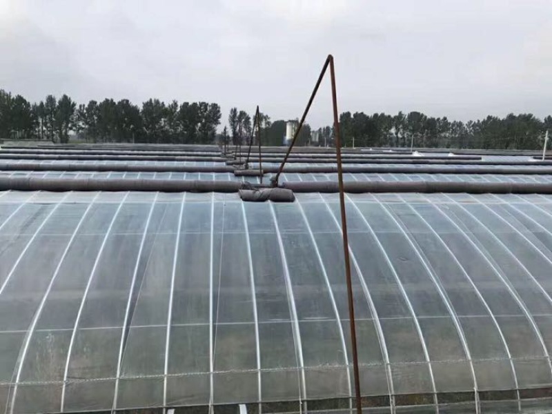 大棚配件大棚卷帘机大棚保温被大棚膜