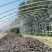 大棚配件大棚卷帘机大棚保温被大棚膜