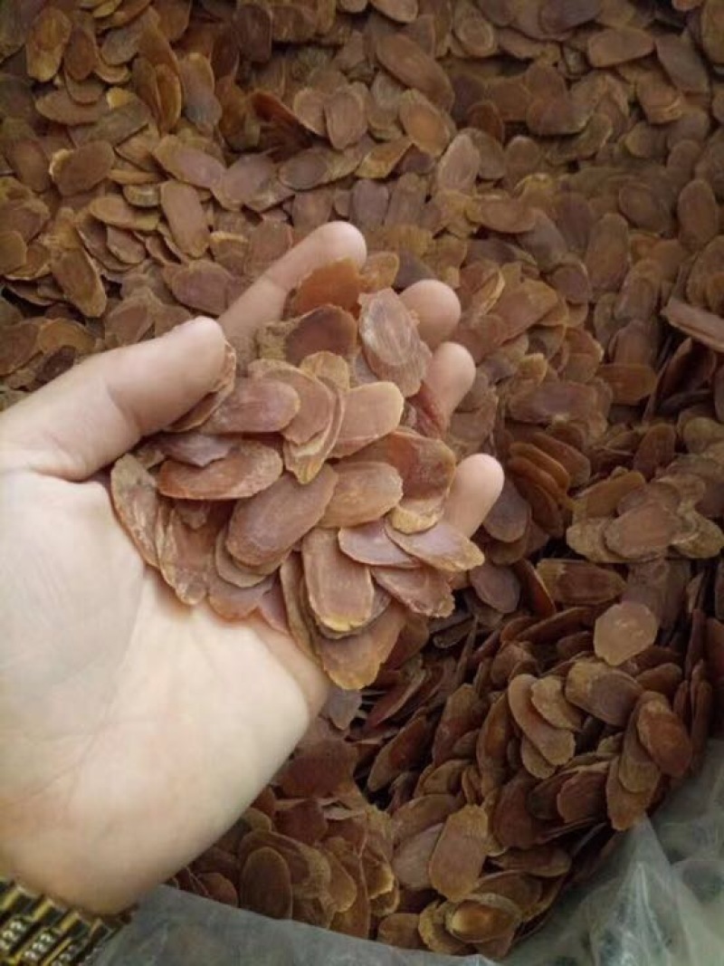 吉林人参红参片无糖红参小片片片带纹含量达标