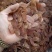 吉林人参红参片无糖红参小片片片带纹含量达标