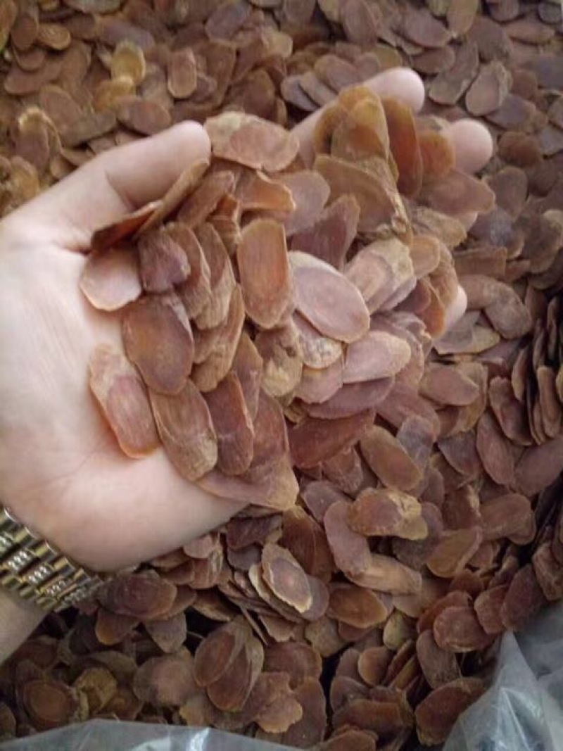 吉林人参红参片无糖红参小片片片带纹含量达标