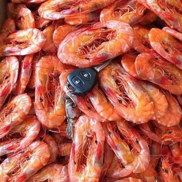 对虾干