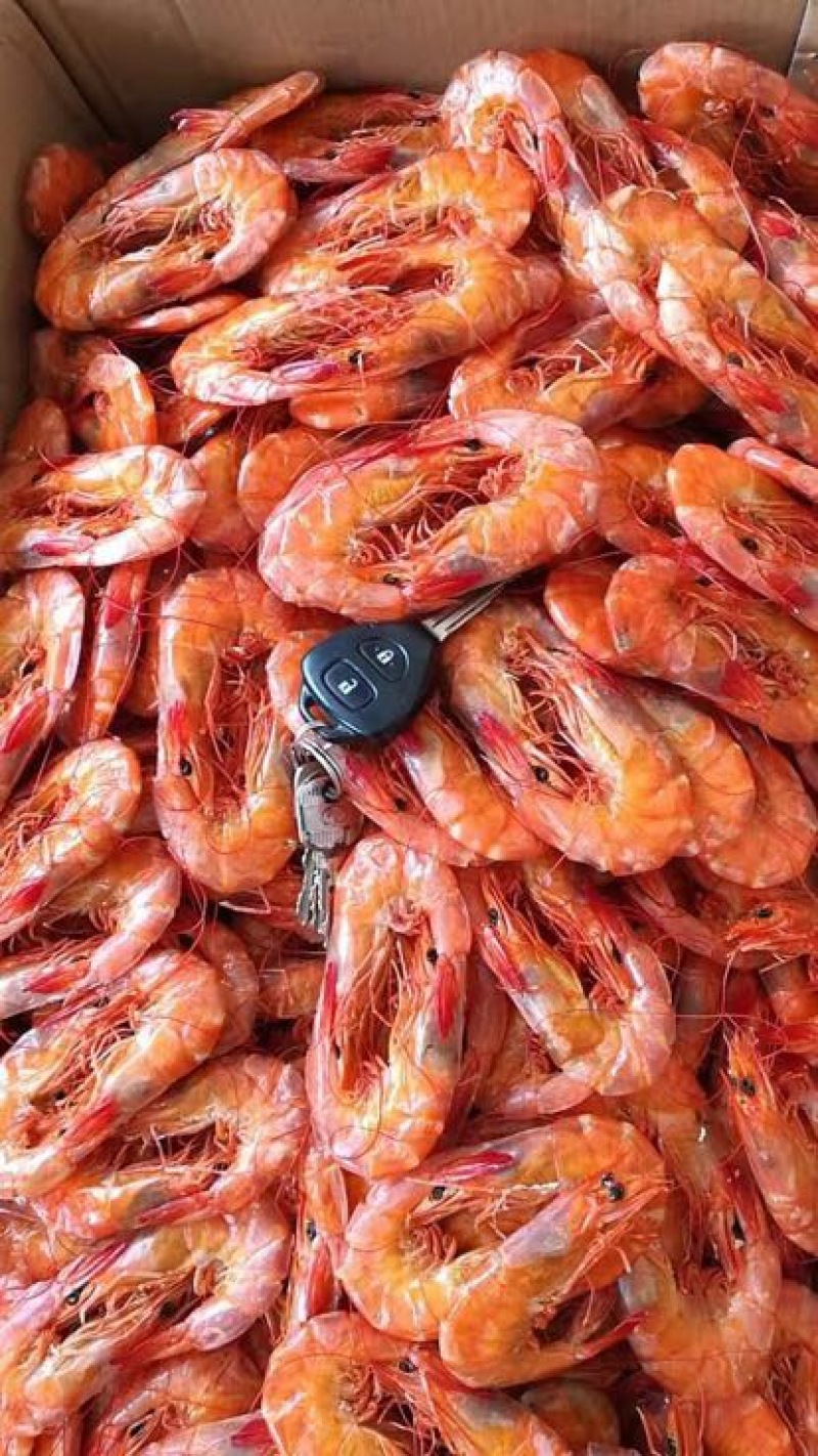 对虾干