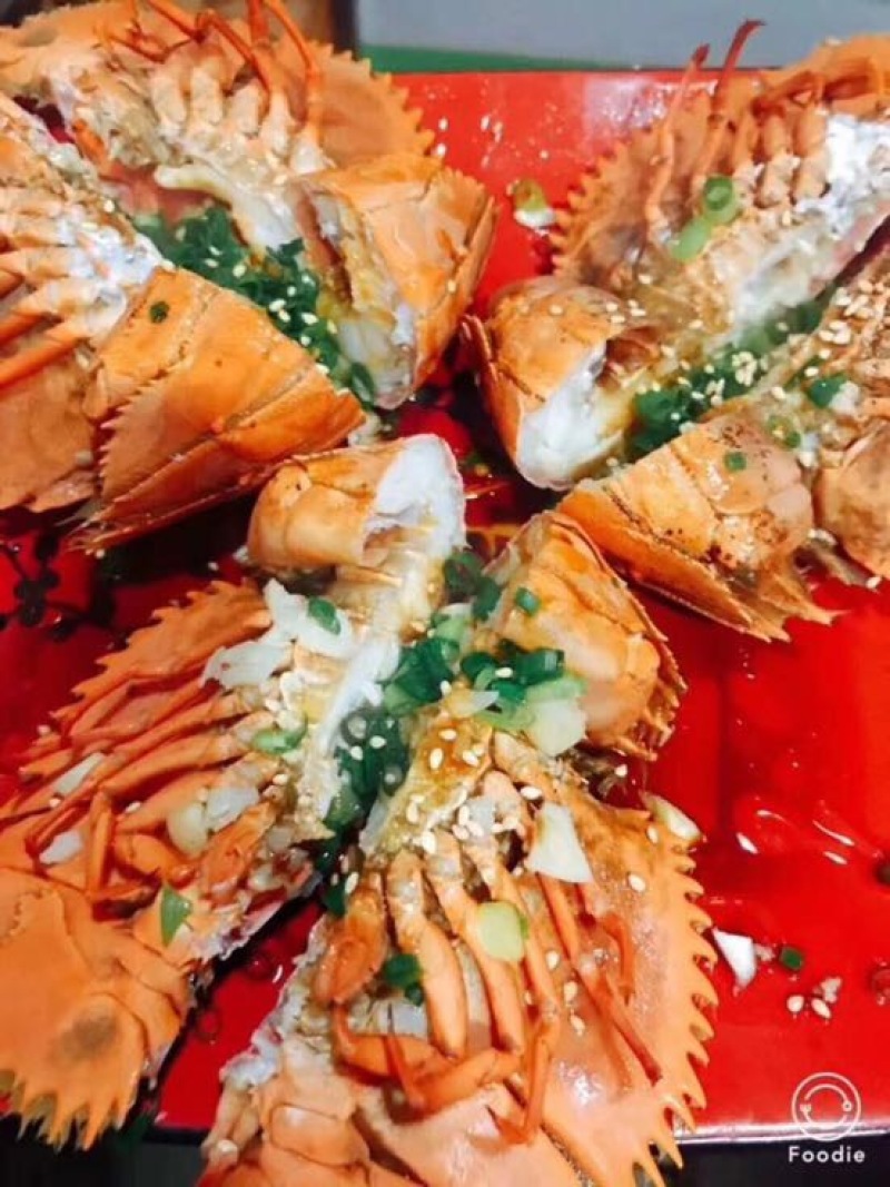 琵琶虾食用活虾