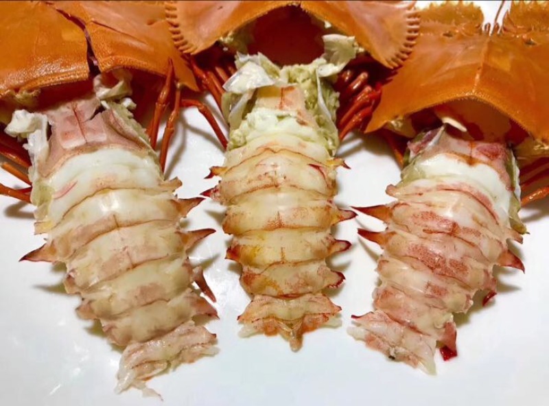 琵琶虾食用活虾