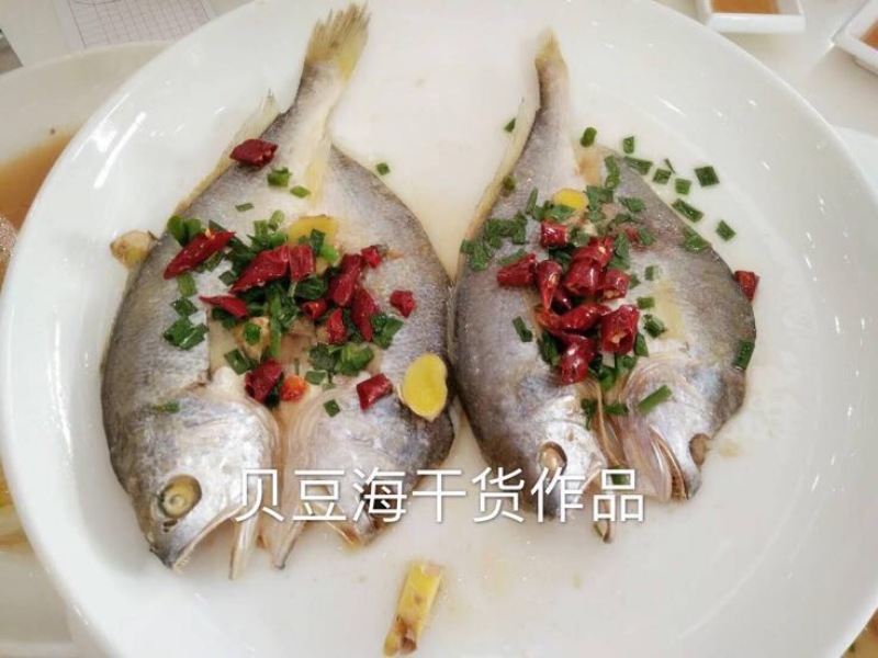 大黄鱼食用