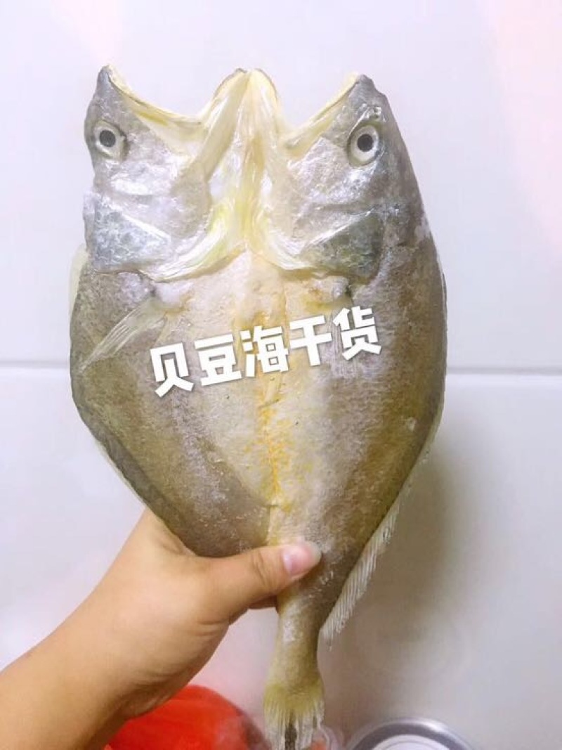 大黄鱼食用