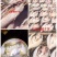大黄鱼食用