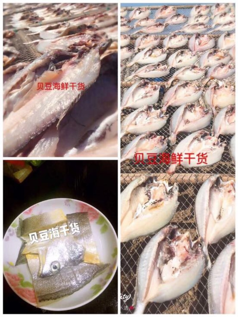 大黄鱼食用