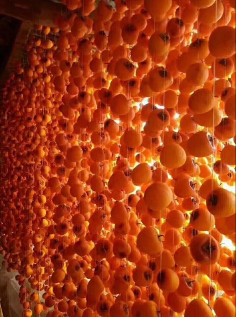柿饼1~2两