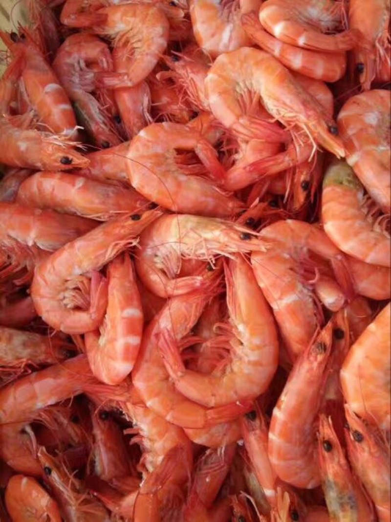 南美白对虾食用冰鲜虾