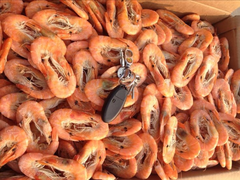 南美白对虾食用冰鲜虾